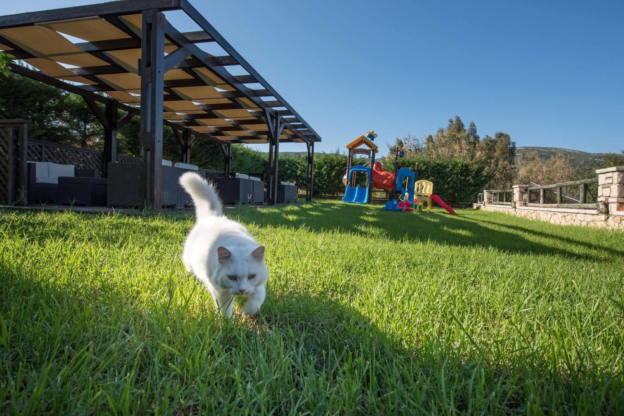 Kookis Village Κερί Εξωτερικό φωτογραφία